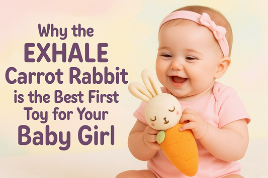 Why the EXHALE Carrot Rabbit is the Best First Toy for Your Baby Girl