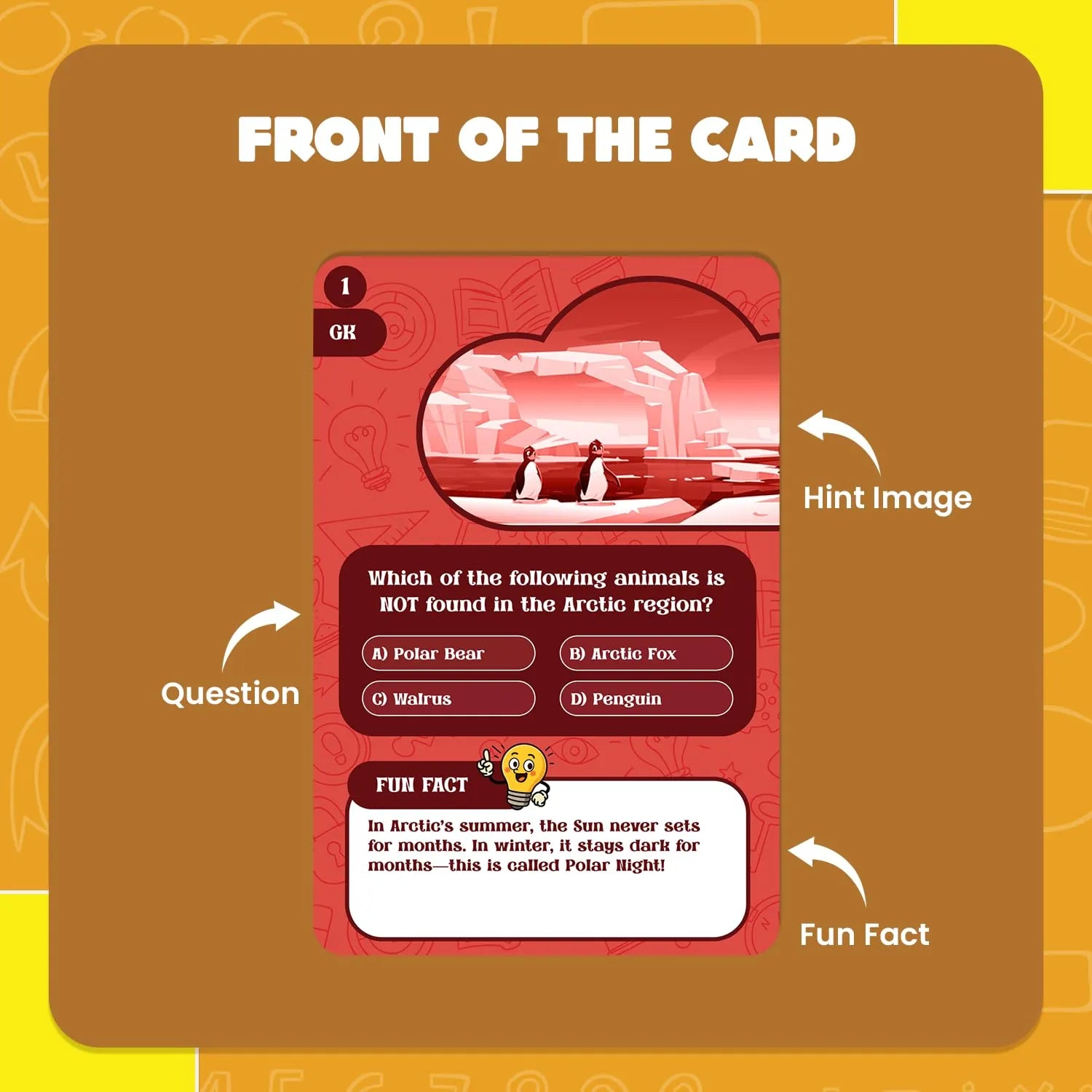 Card with question and fun fact about Arctic animals on a brown border